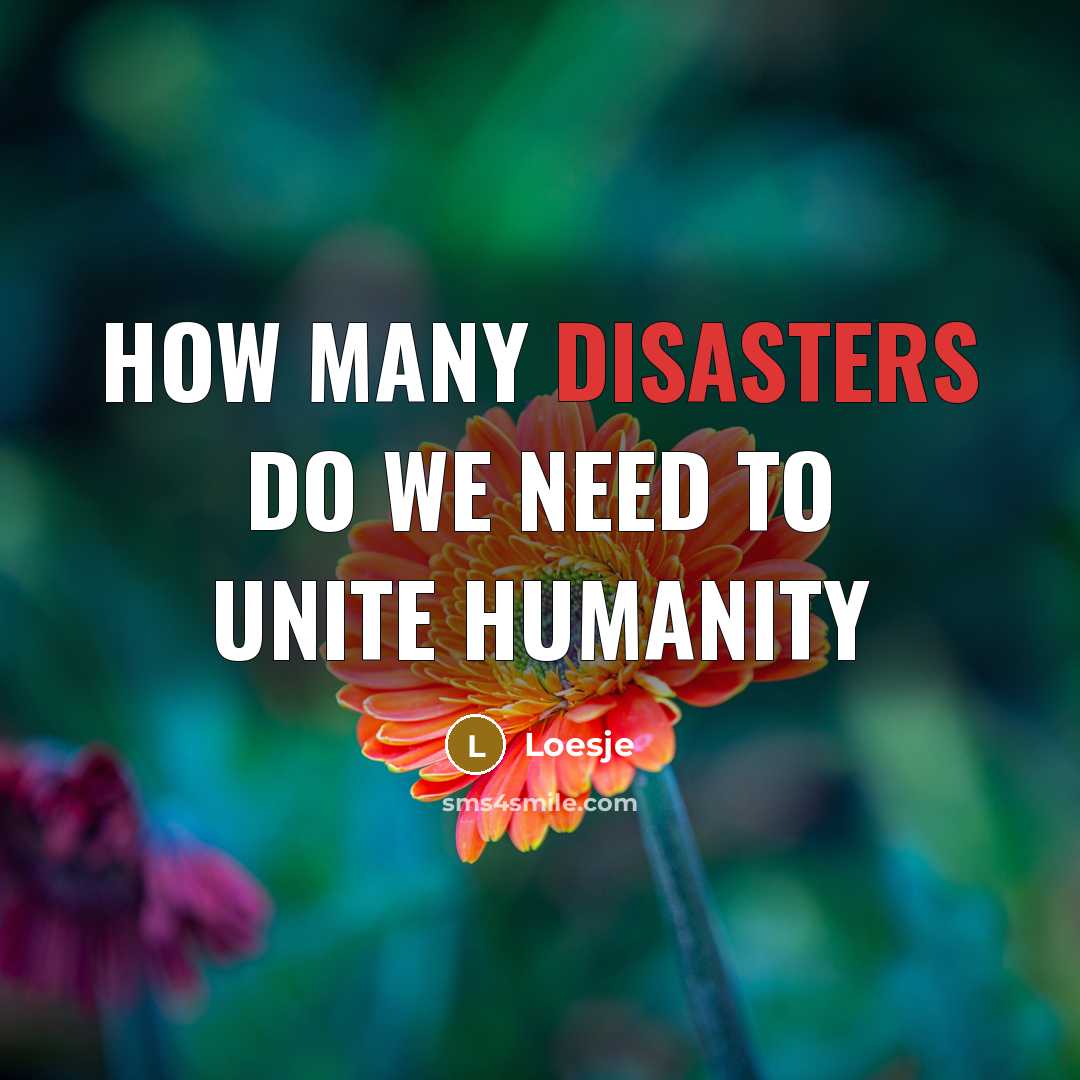 “How many disasters do we need to unite humanity” quote by Loesje