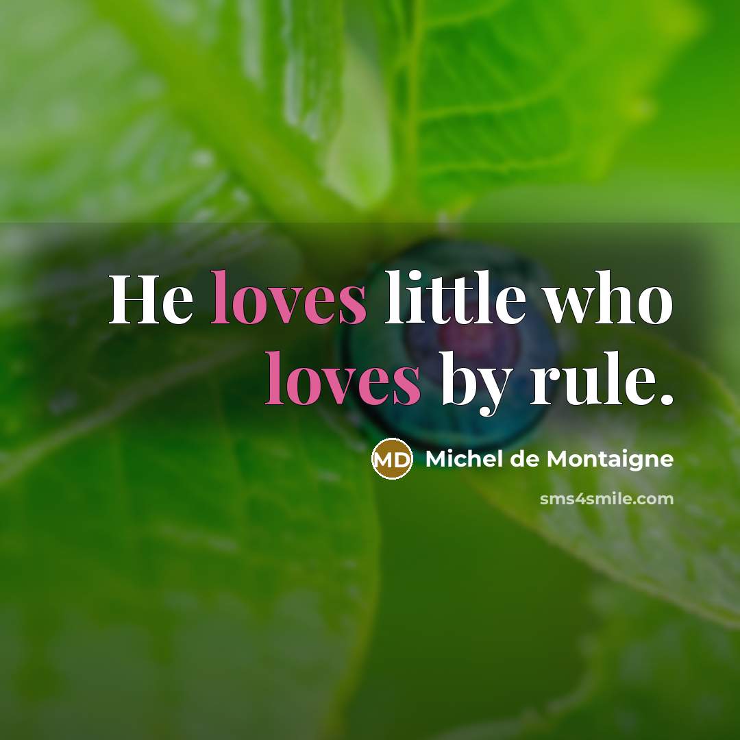 “He loves little who loves by rule.…” quote by Michel de Montaigne