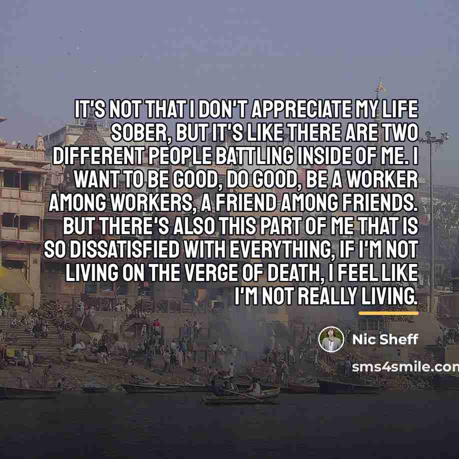 “It's not that I don't appreciate my life sober, but…” quote by Nic Sheff