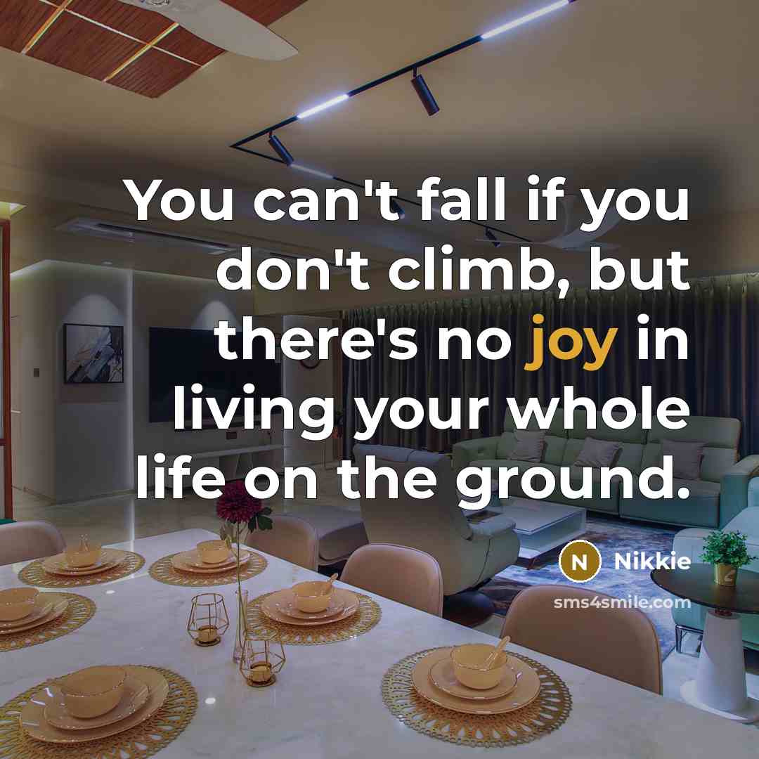 “You can't fall if you don't climb, but there's no joy in living your whole life on the ground.” quote by Nikkie