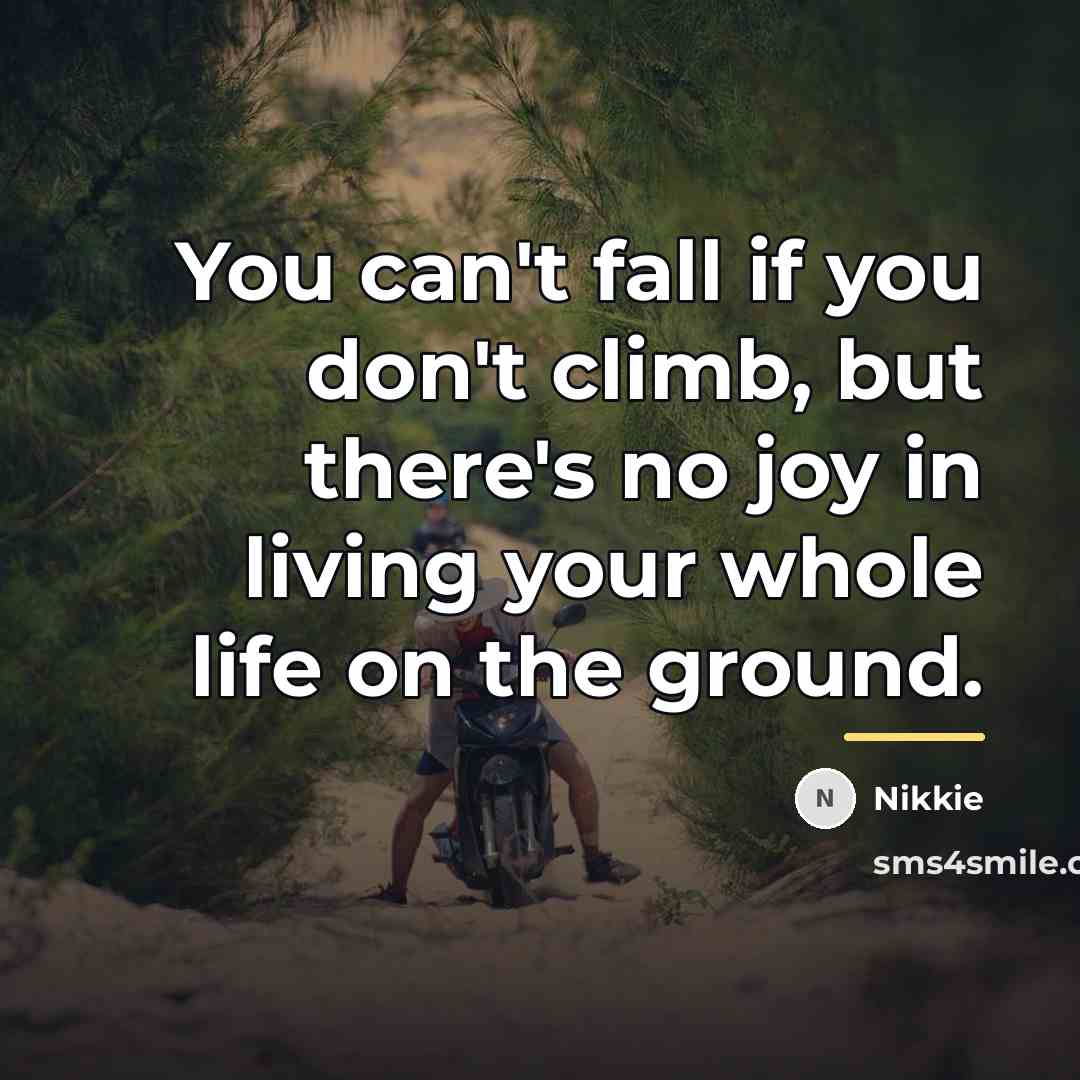 “You can't fall if you don't climb, but there's no…” quote by Nikkie