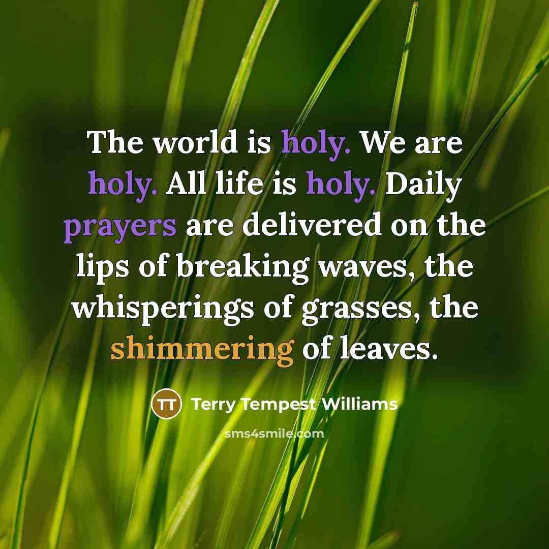 “The world is holy. We are holy. All life is…” quote by Terry Tempest Williams
