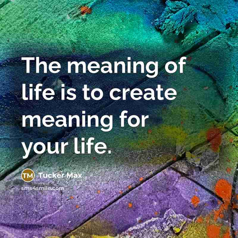 “The meaning of life is to create meaning for your…” quote by Tucker Max