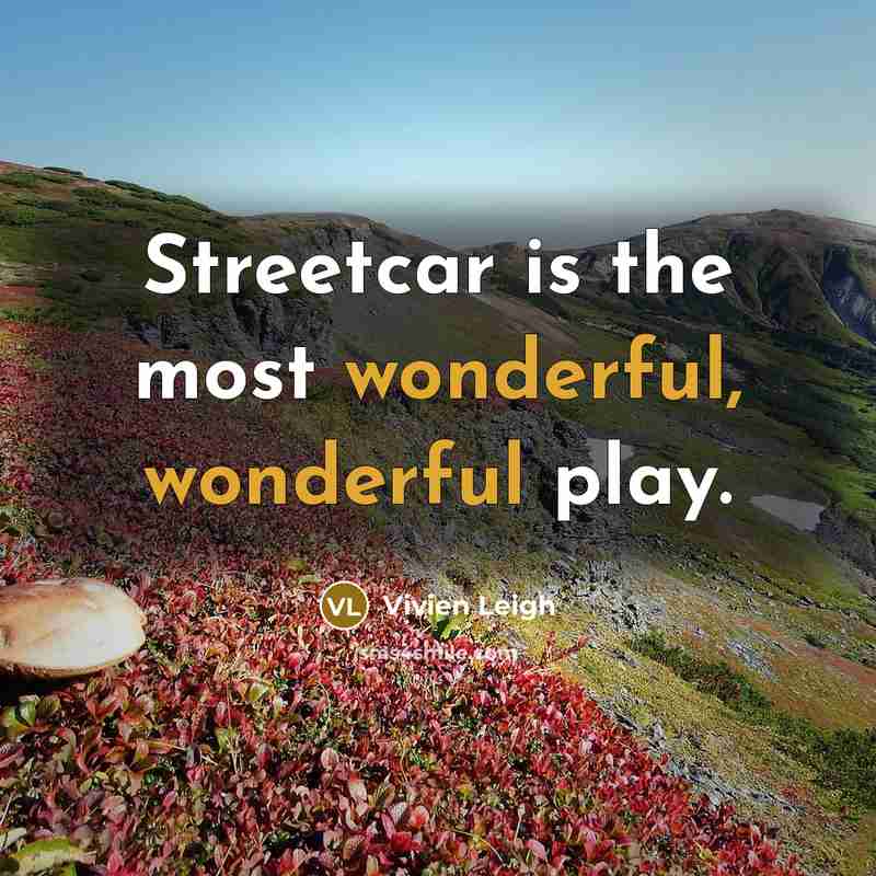 “Streetcar is the most wonderful, wonderful play.…” quote by Vivien Leigh