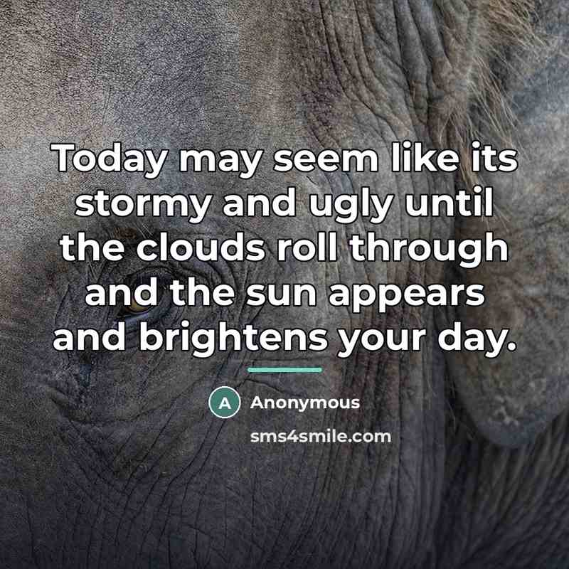 “Today may seem like its stormy and ugly until the…” quote by Anonymous