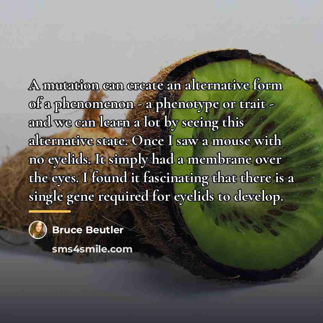 “A mutation can create an alternative form of a phenomenon…” quote by Bruce Beutler