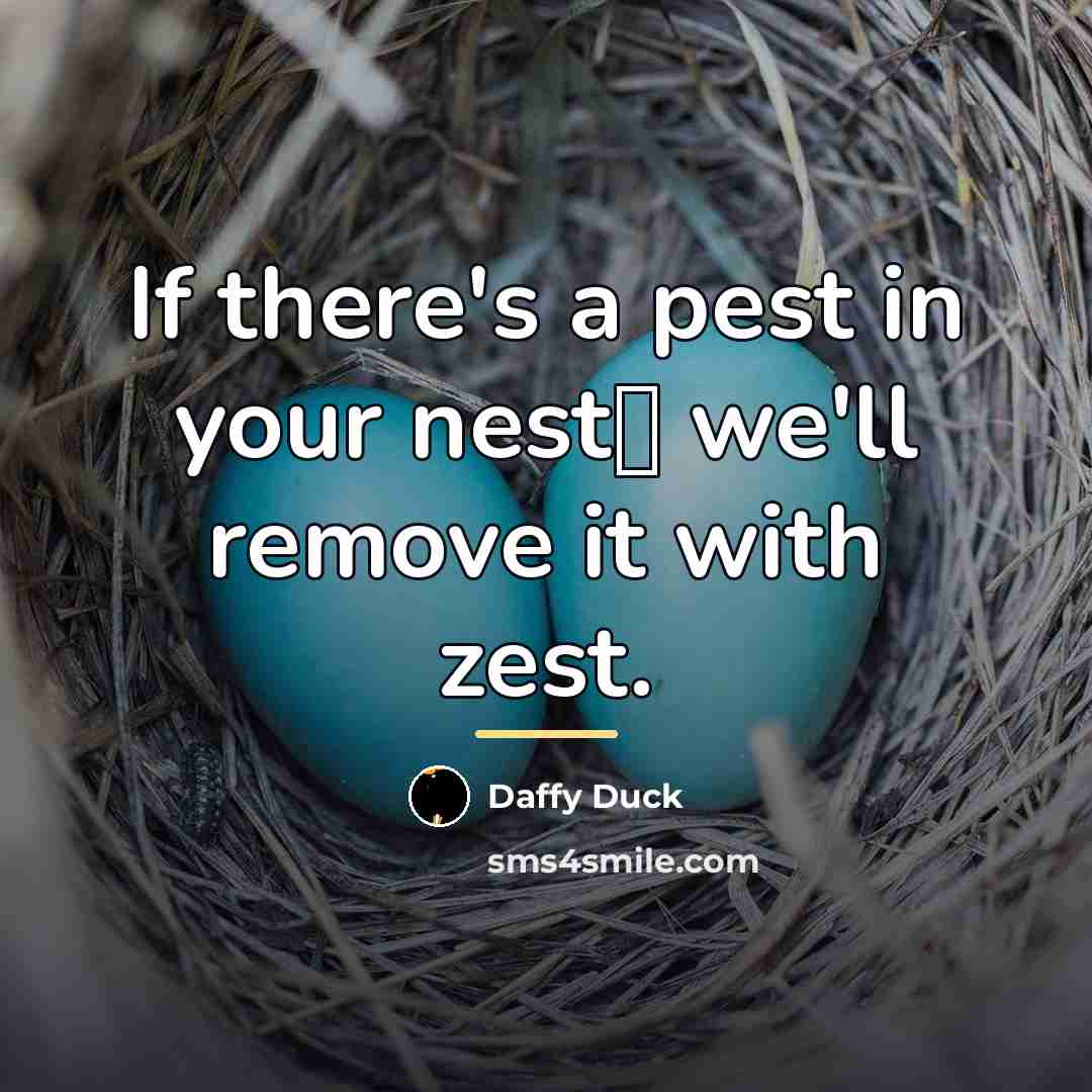 “If there's a pest in your nest� we'll remove it…” quote by Daffy Duck