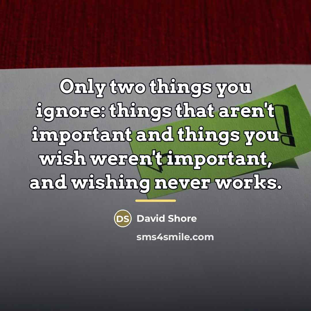 “Only two things you ignore: things that aren't important and…” quote by David Shore