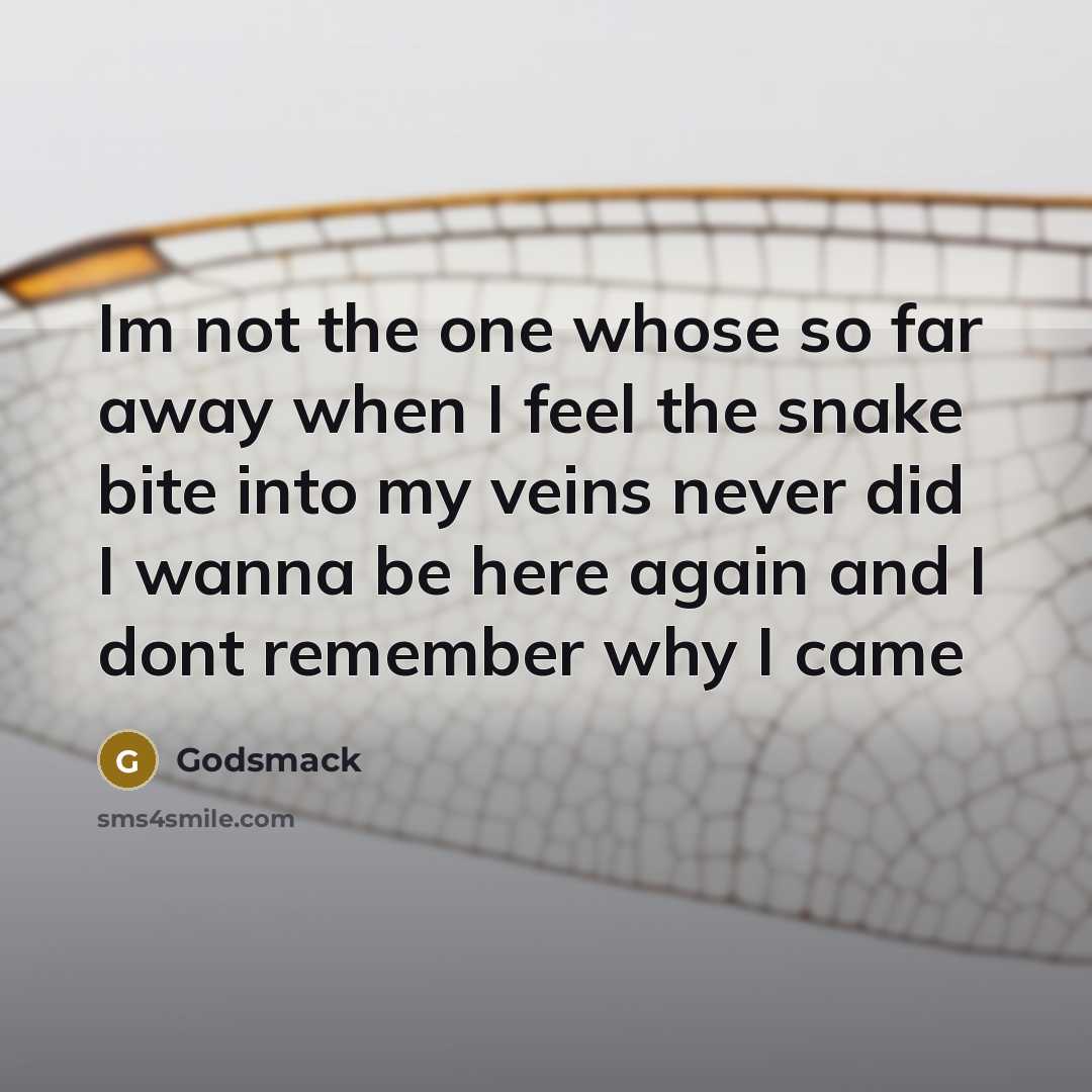 “Im not the one whose so far away when I…” quote by Godsmack