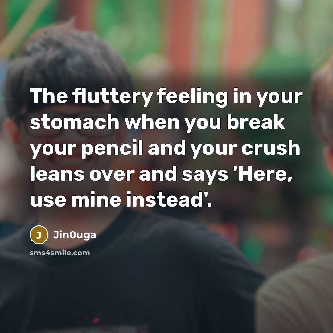 “The fluttery feeling in your stomach when you break your pencil and your crush leans over and says 'Here, use mine instead'.” quote by Jin0uga
