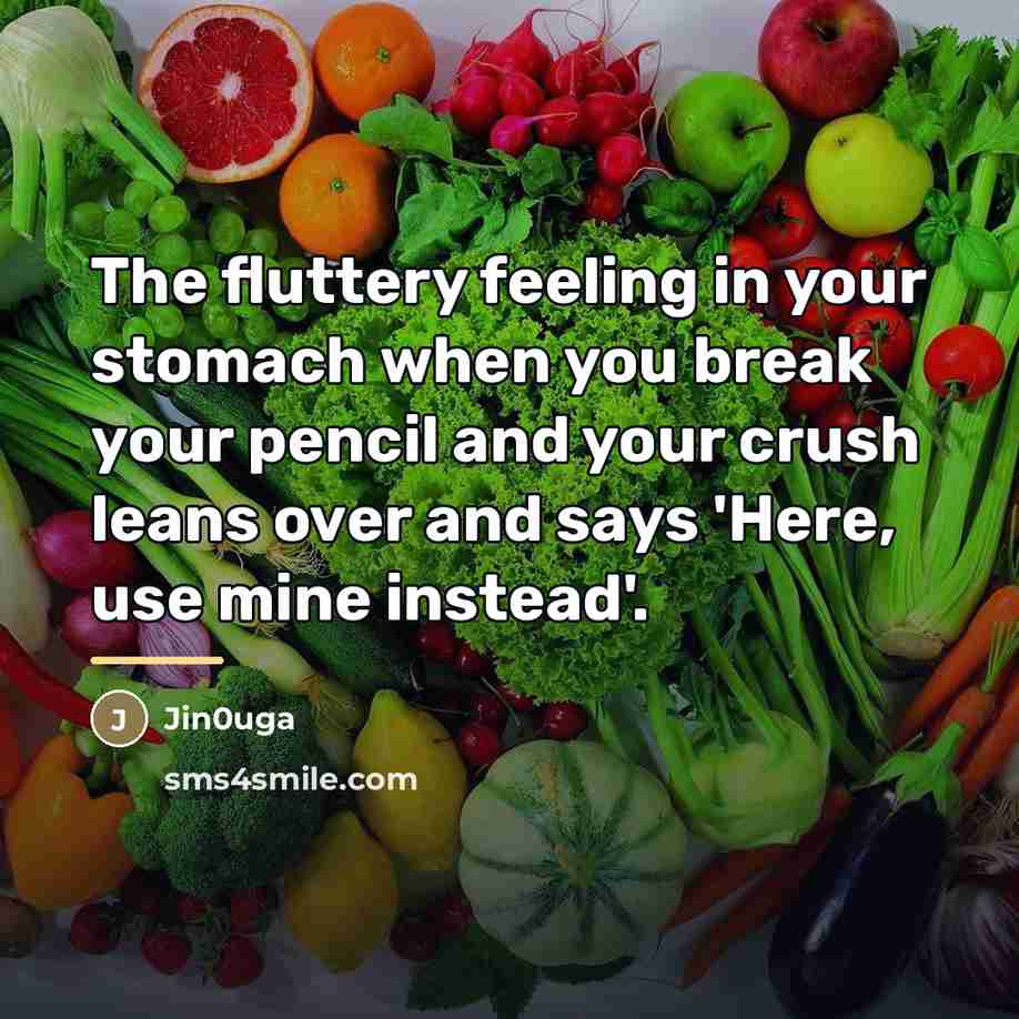 “The fluttery feeling in your stomach when you break your…” quote by Jin0uga