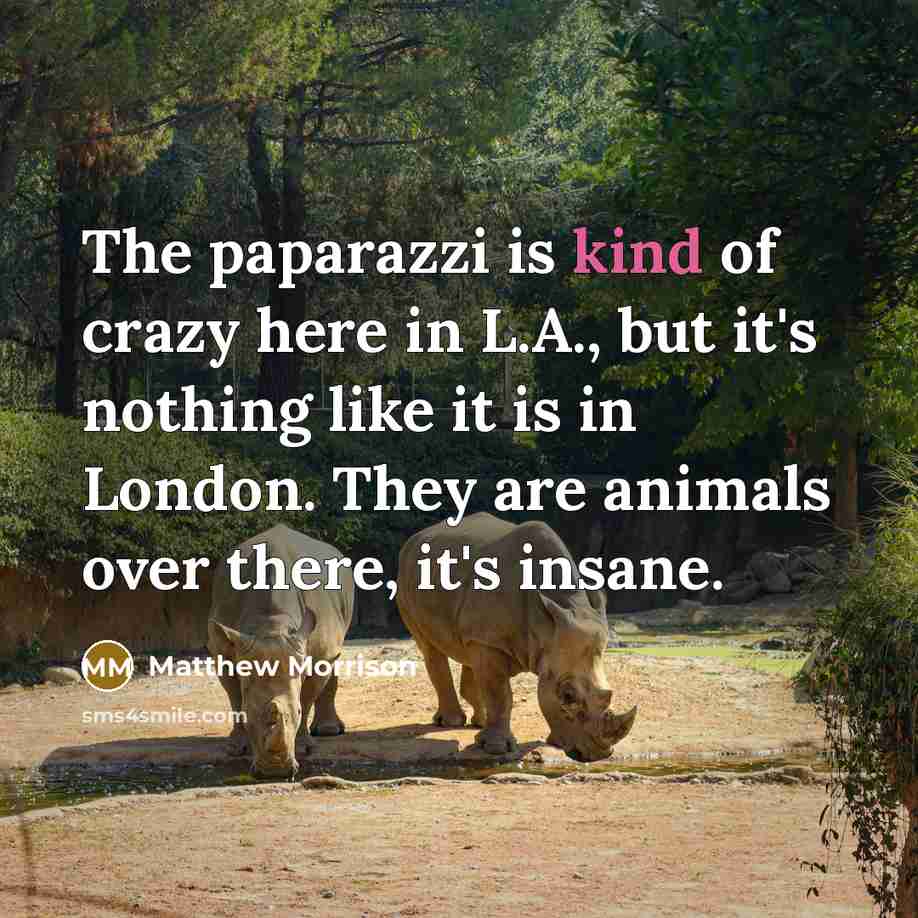 “The paparazzi is kind of crazy here in L.A., but…” quote by Matthew Morrison