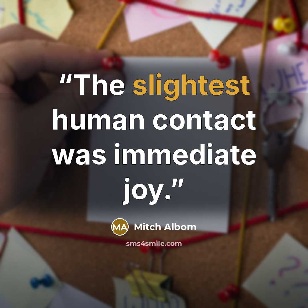 “The slightest human contact was immediate joy.” quote by Mitch Albom