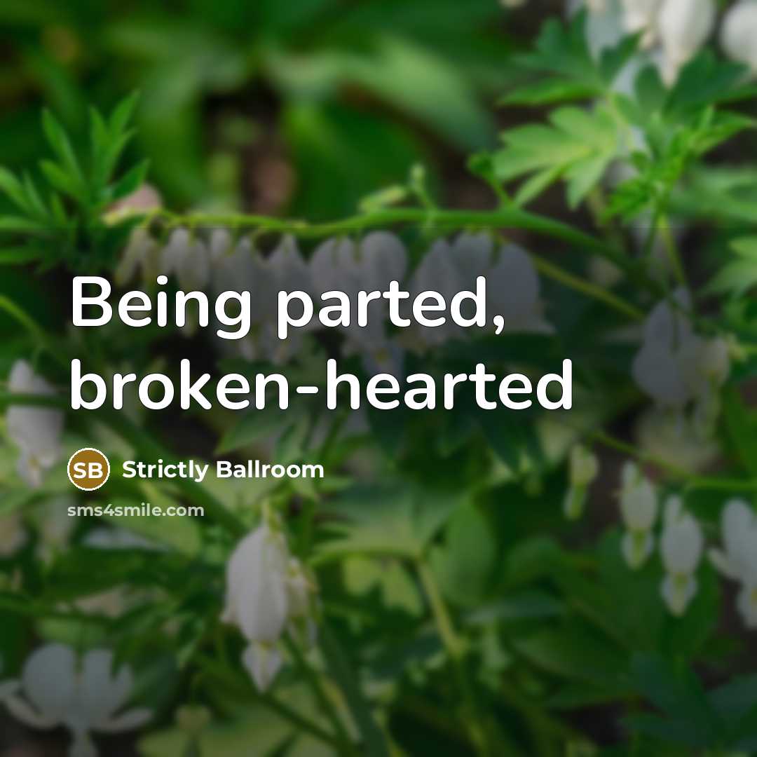 “Being parted, broken-hearted” quote by Strictly Ballroom
