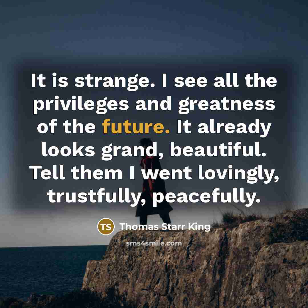 “It is strange. I see all the privileges and greatness…” quote by Thomas Starr King