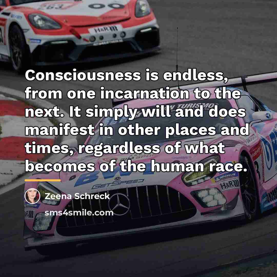 “Consciousness is endless, from one incarnation to the next. It…” quote by Zeena Schreck
