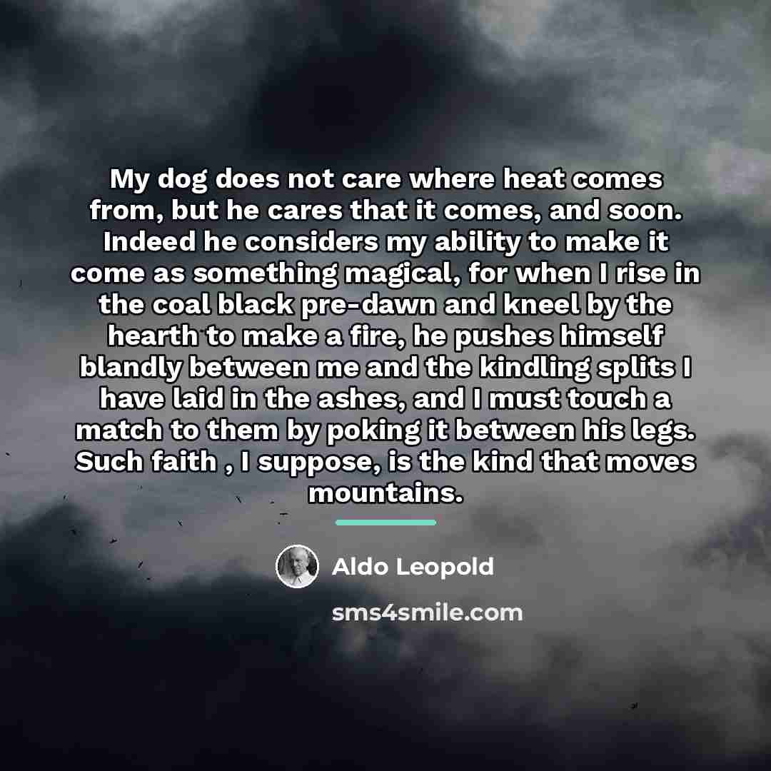 “My dog does not care where heat comes from, but…” quote by Aldo Leopold