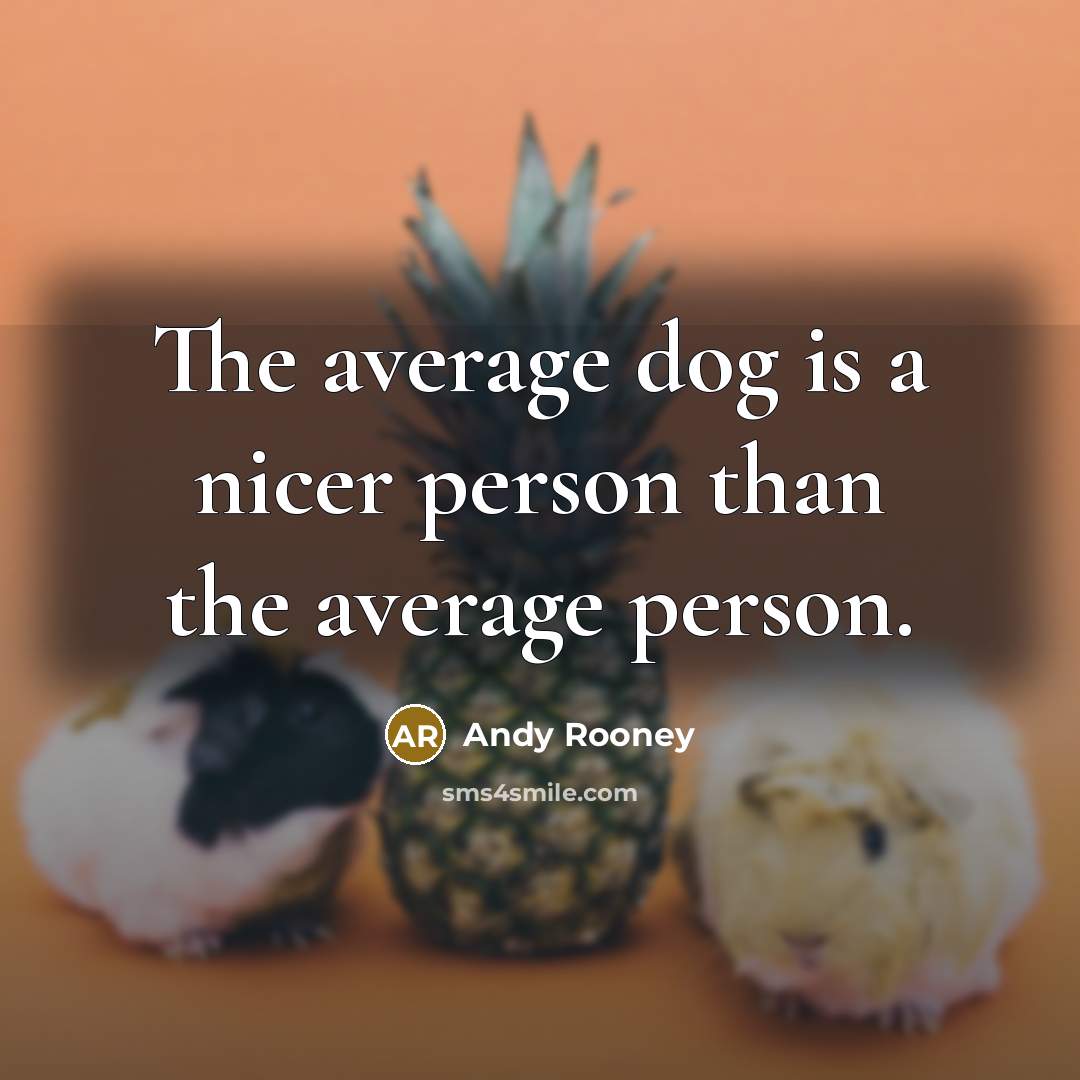 “The average dog is a nicer person than the average person.” quote by Andy Rooney