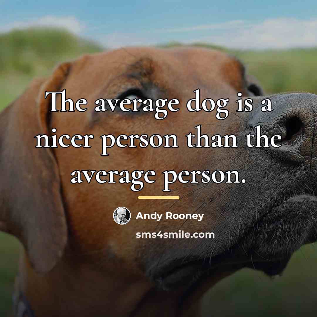 “The average dog is a nicer person than the average…” quote by Andy Rooney