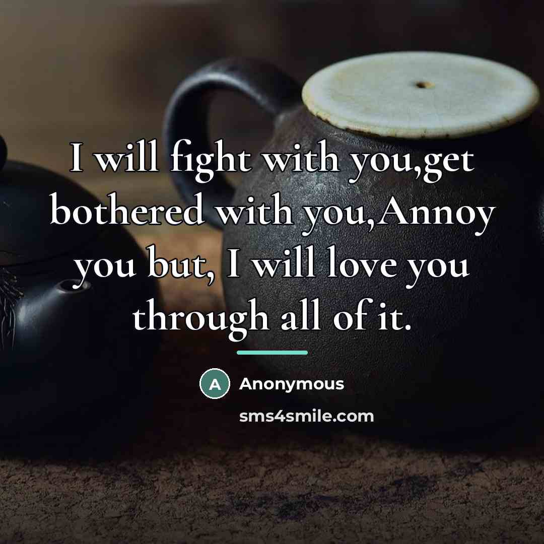 “I will fight with you,get bothered with you,Annoy you but,…” quote by Anonymous