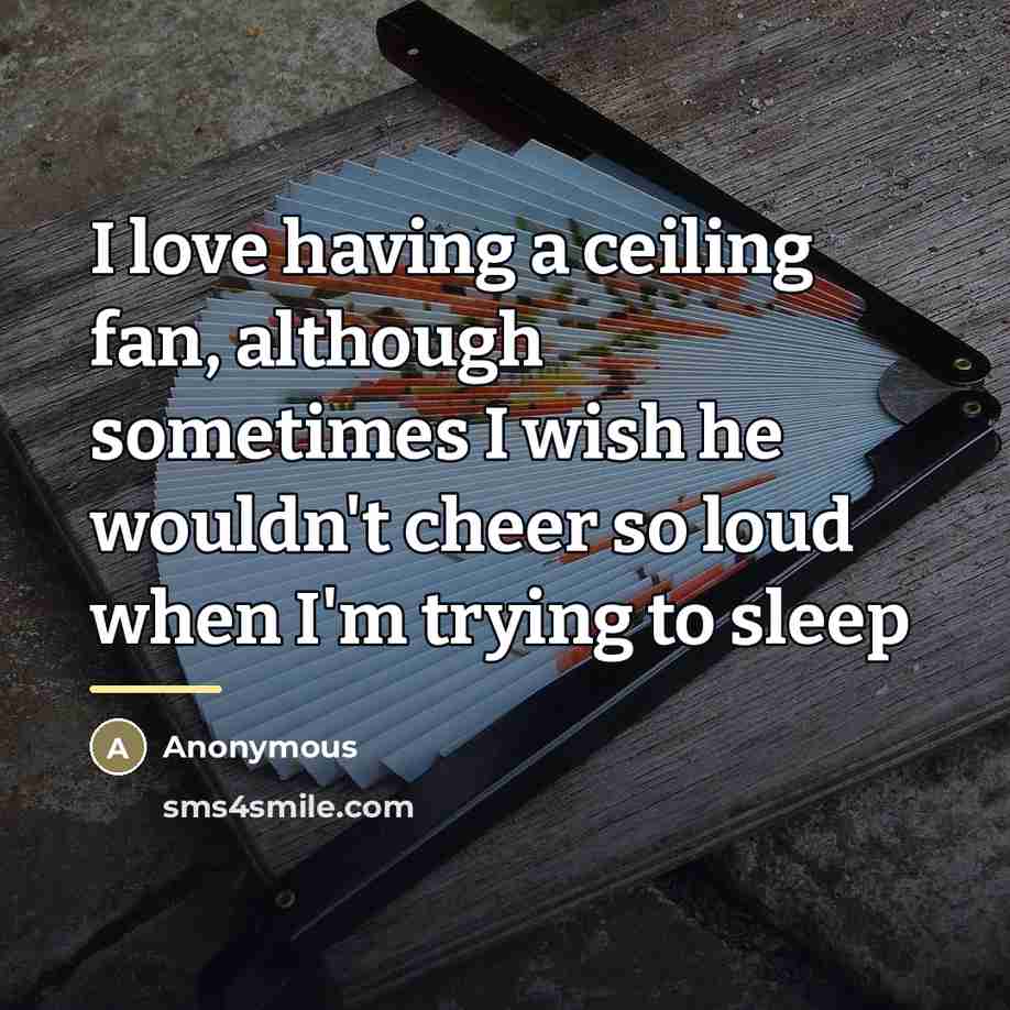 “I love having a ceiling fan, although sometimes I wish…” quote by Anonymous