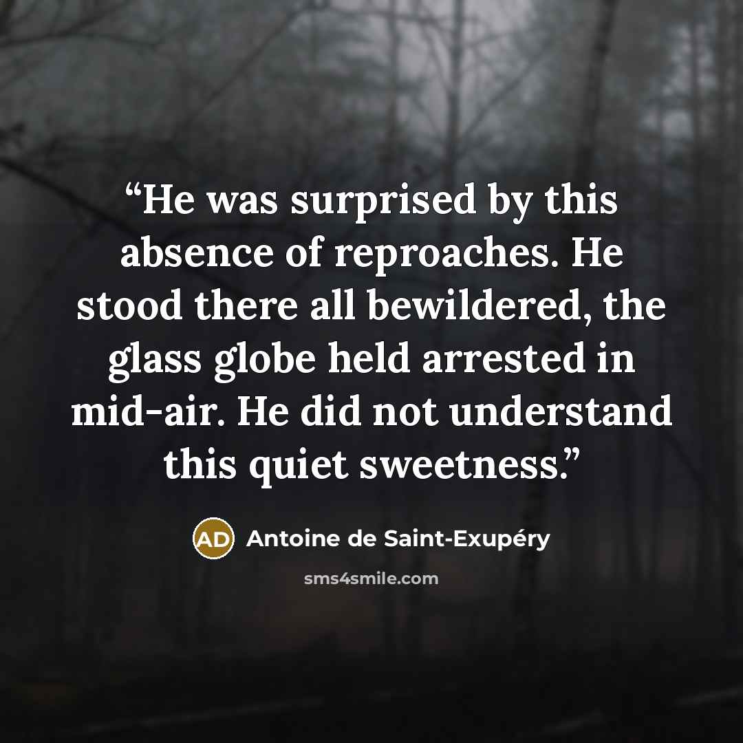 “He was surprised by this absence of reproaches. He stood there all bewildered, the glass globe held arrested in mid-air. He did not understand this quiet sweetness.” quote by Antoine de Saint-Exupéry