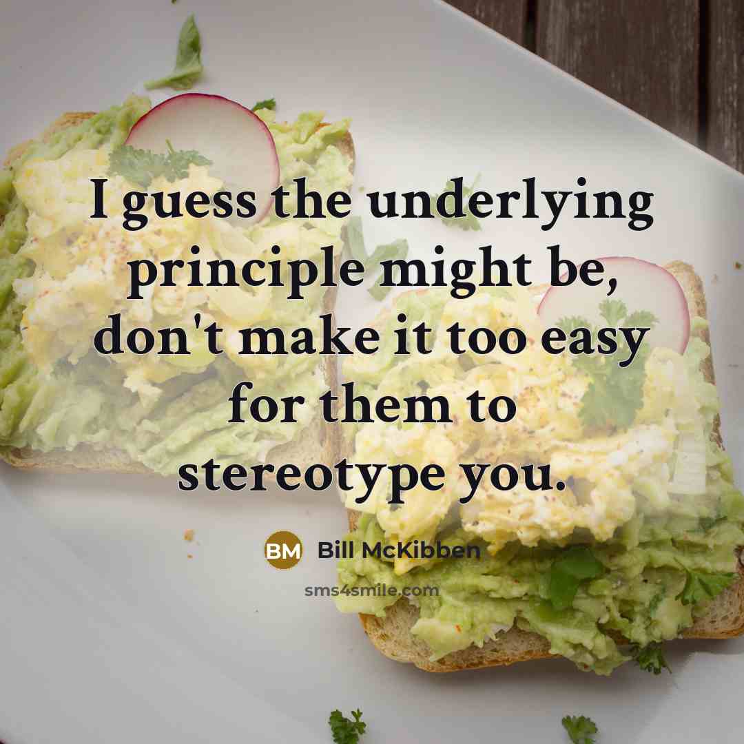 “I guess the underlying principle might be, don't make it…” quote by Bill McKibben