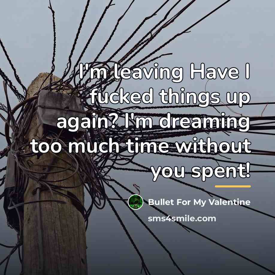 “I'm leaving Have I fucked things up again? I'm dreaming…” quote by Bullet For My Valentine