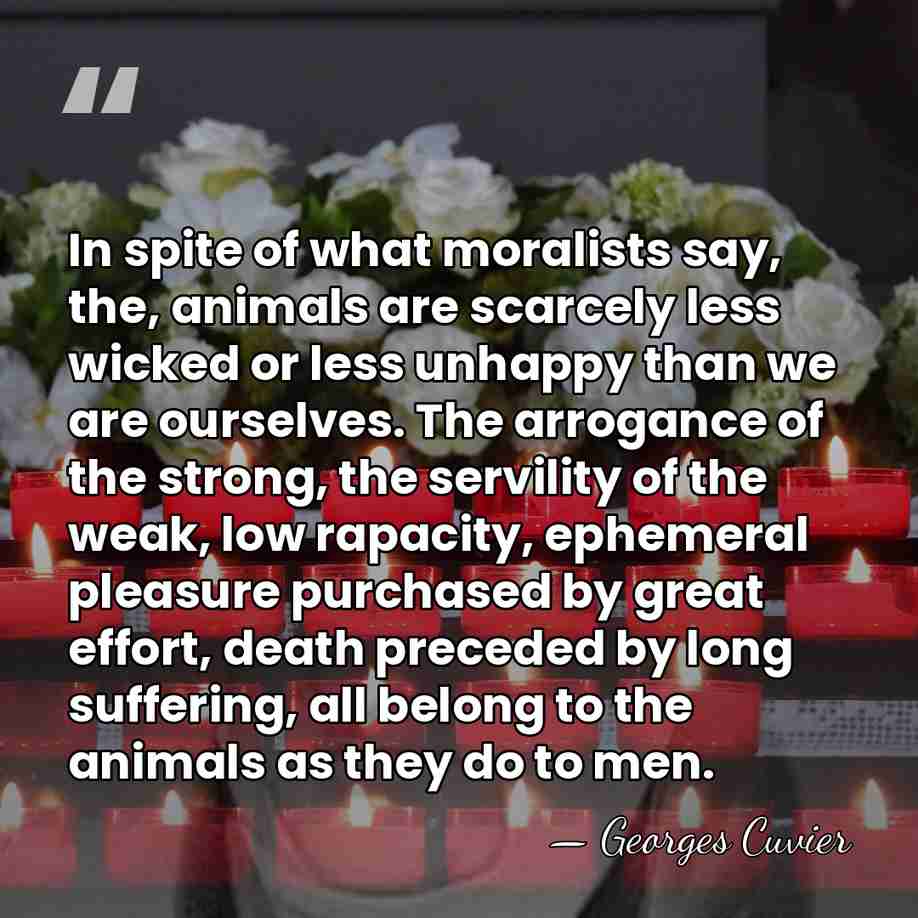 In spite of what moralists say, the, animals are scarcely less wicked&hellip; - Georges Cuvier