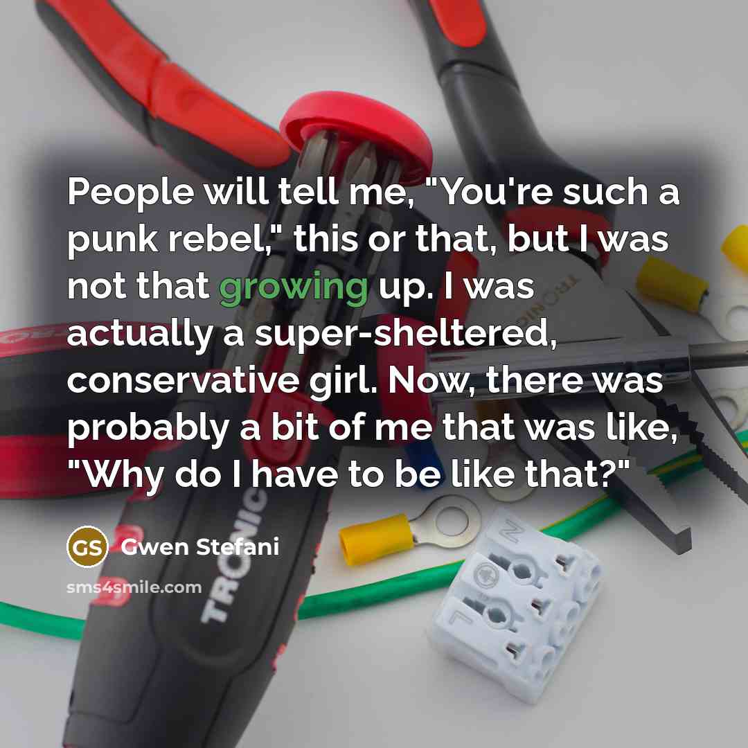 “People will tell me, "You're such a punk rebel," this…” quote by Gwen Stefani