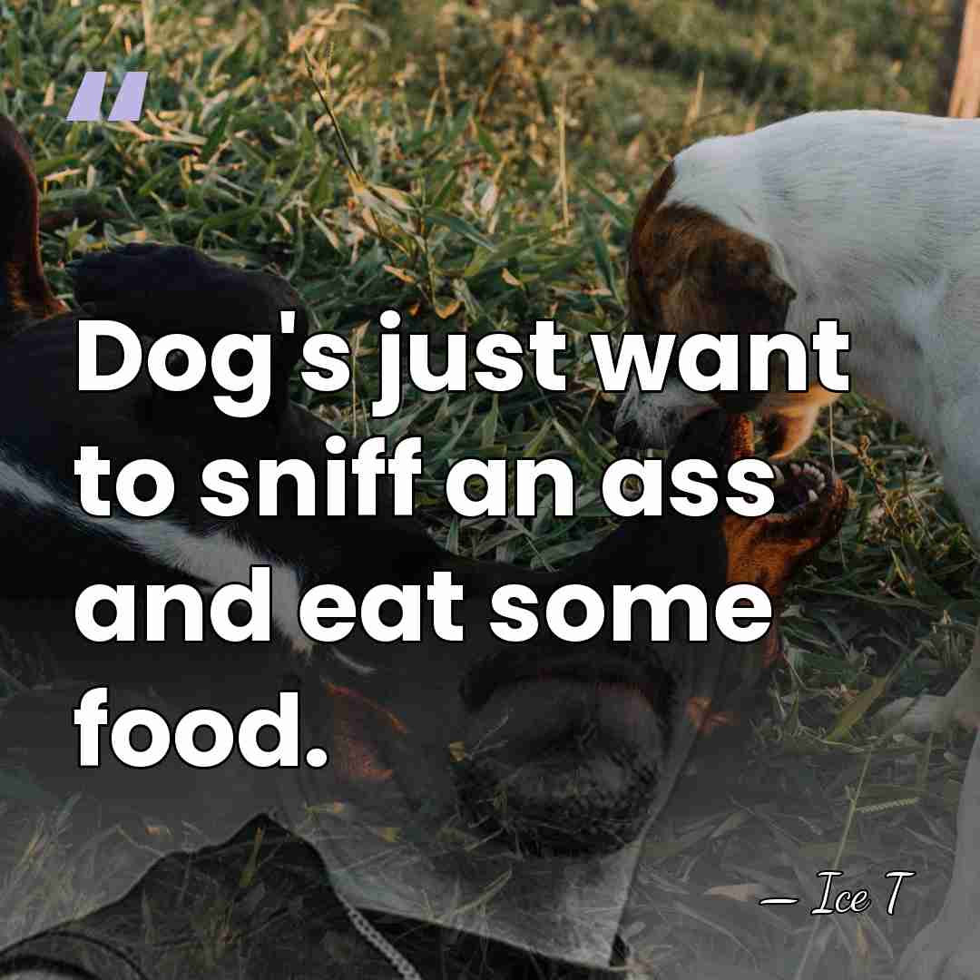 Dog's just want to sniff an ass and eat some food. - Ice T