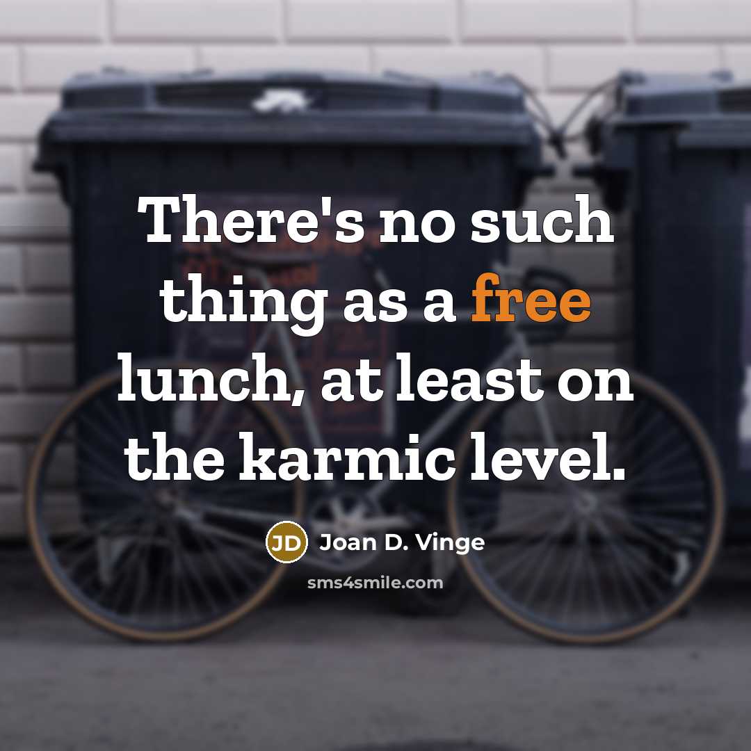 “There's no such thing as a free lunch, at least…” quote by Joan D. Vinge
