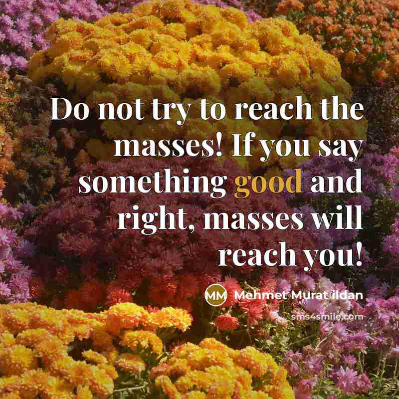 “Do not try to reach the masses! If you say…” quote by Mehmet Murat Ildan