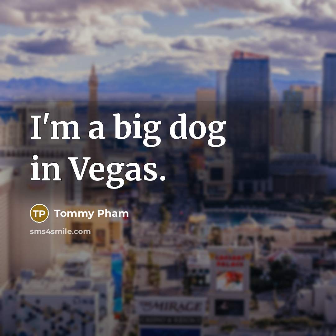 “I'm a big dog in Vegas.…” quote by Tommy Pham