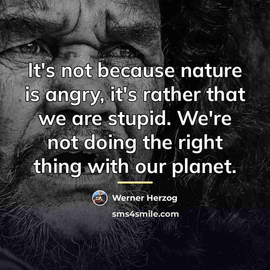 “It's not because nature is angry, it's rather that we…” quote by Werner Herzog