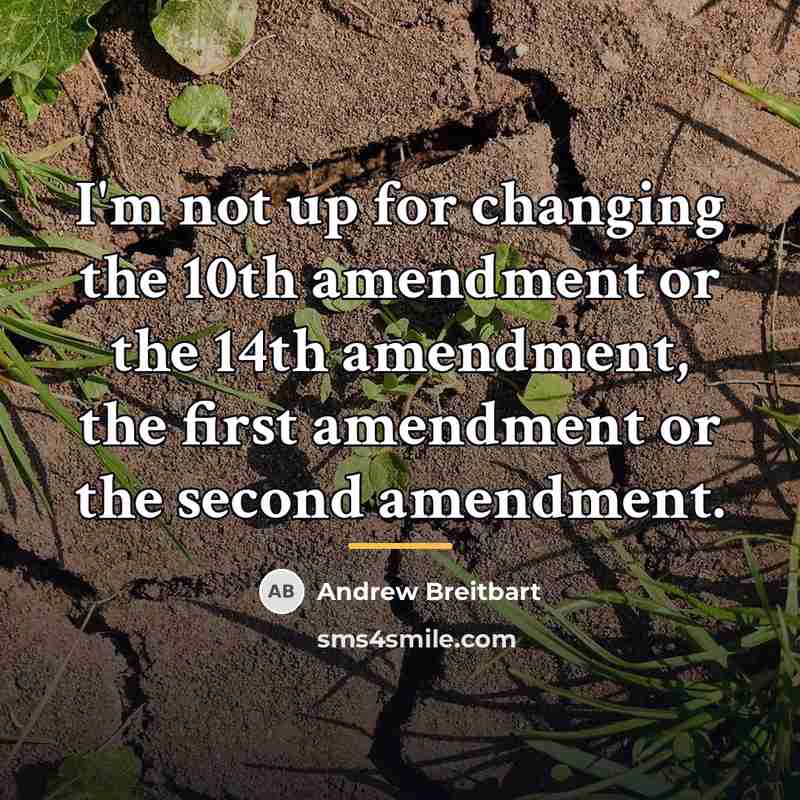 “I'm not up for changing the 10th amendment or the…” quote by Andrew Breitbart