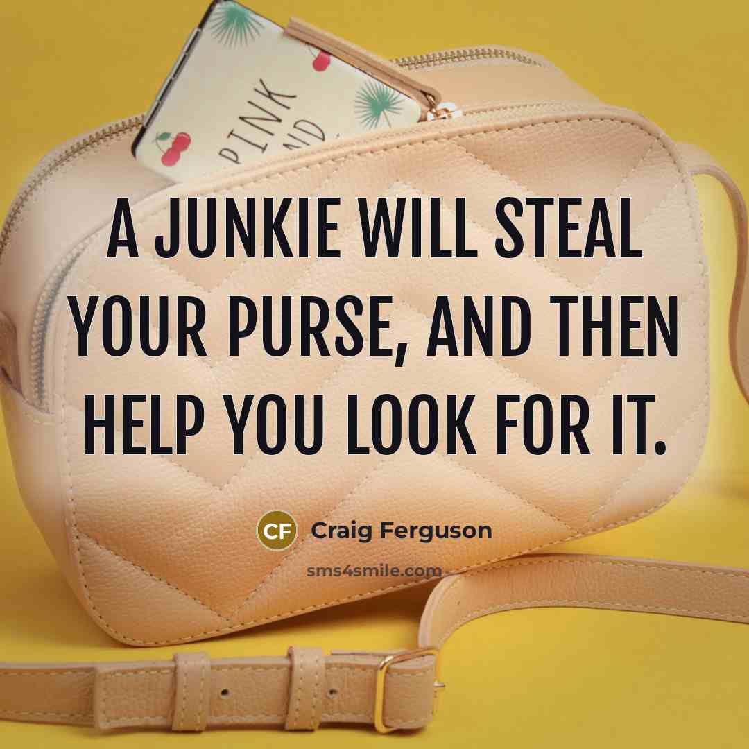“A junkie will steal your purse, and then help you…” quote by Craig Ferguson