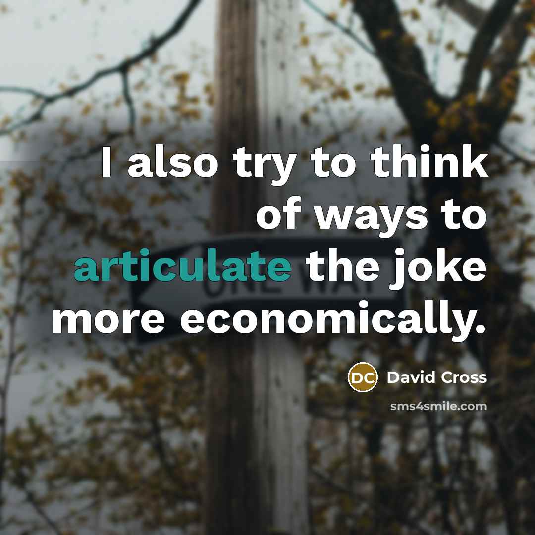 “I also try to think of ways to articulate the…” quote by David Cross