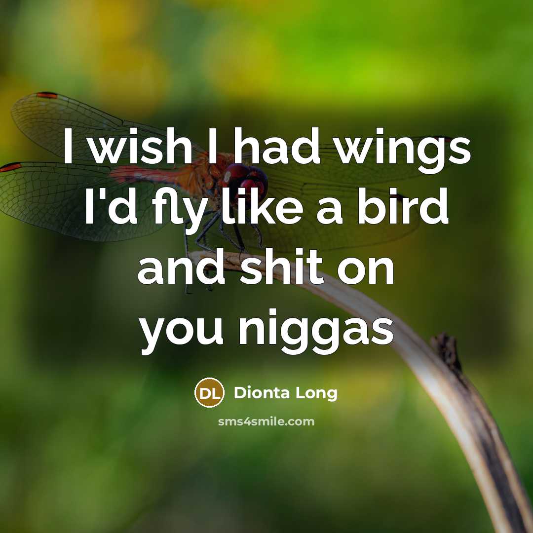 “I wish I had wings I'd fly like a bird…” quote by Dionta Long