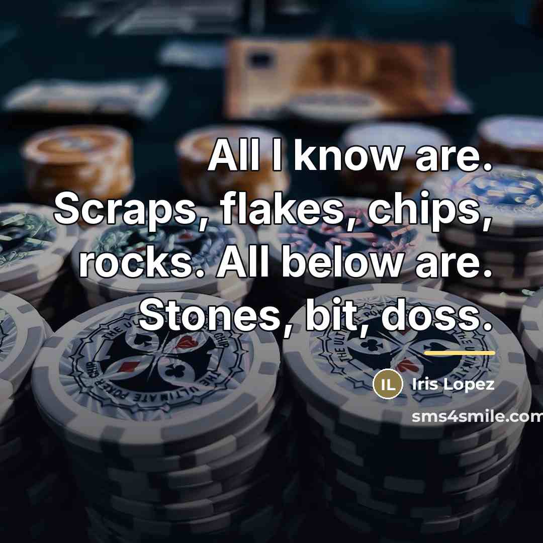 “All I know are. Scraps, flakes, chips, rocks. All below…” quote by Iris Lopez