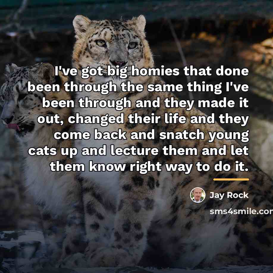 “I've got big homies that done been through the same…” quote by Jay Rock