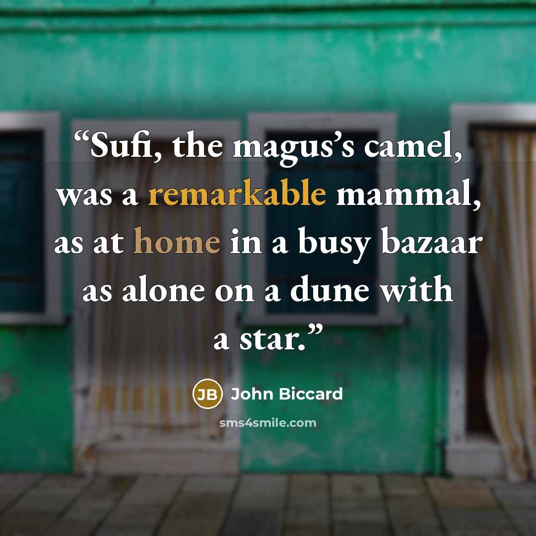 “Sufi, the magus’s camel, was a remarkable mammal, as at home in a busy bazaar as alone on a dune with a star.” quote by John Biccard