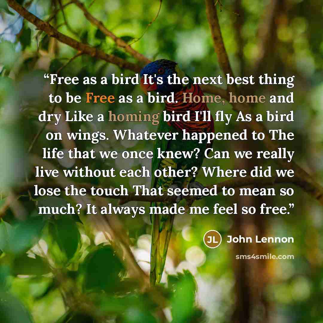 “Free as a bird It's the next best thing to be Free as a bird. Home, home and dry Like a homing bird I'll fly As a bird on wings. Whatever happened to The life that we once knew? Can we really live without each other? Where did we lose the touch That seemed to mean so much? It always made me feel…” quote by John Lennon