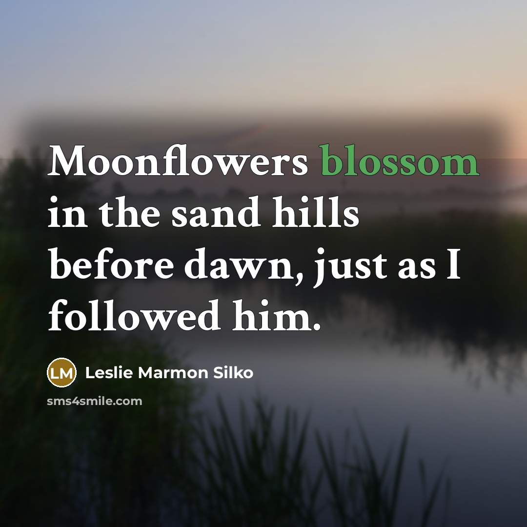 “Moonflowers blossom in the sand hills before dawn, just as I followed him.” quote by Leslie Marmon Silko