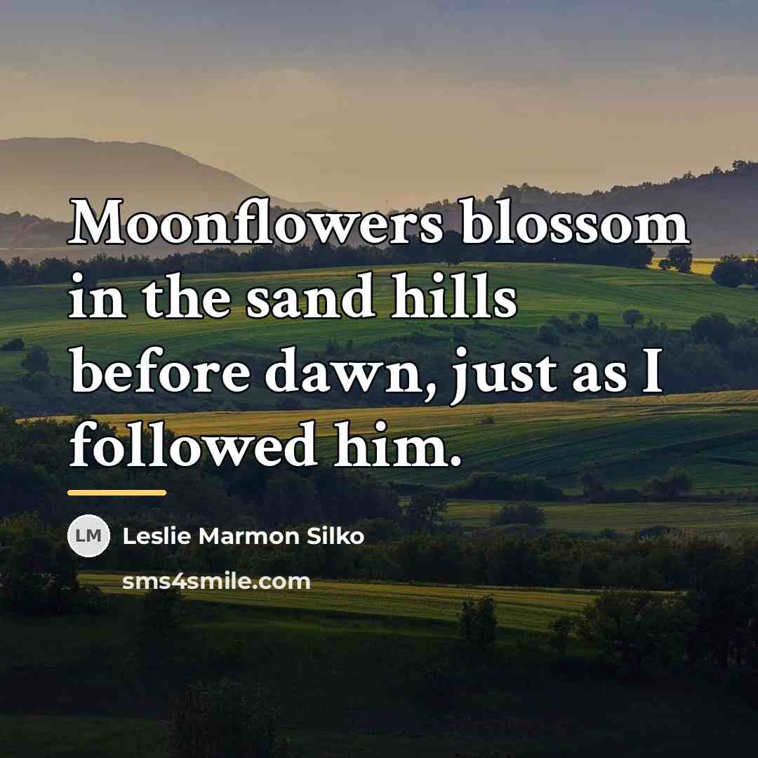 “Moonflowers blossom in the sand hills before dawn, just as…” quote by Leslie Marmon Silko