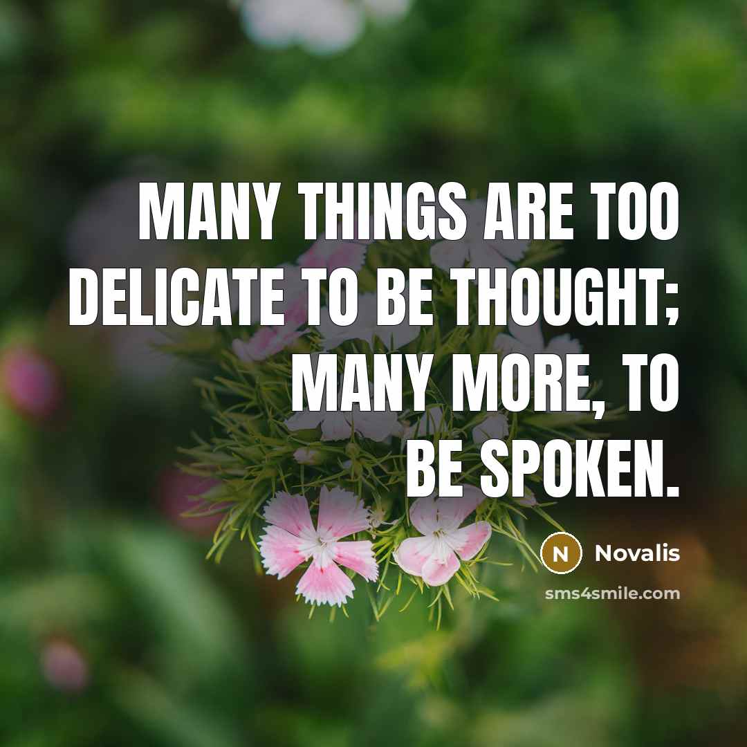 “Many things are too delicate to be thought; many more,…” quote by Novalis