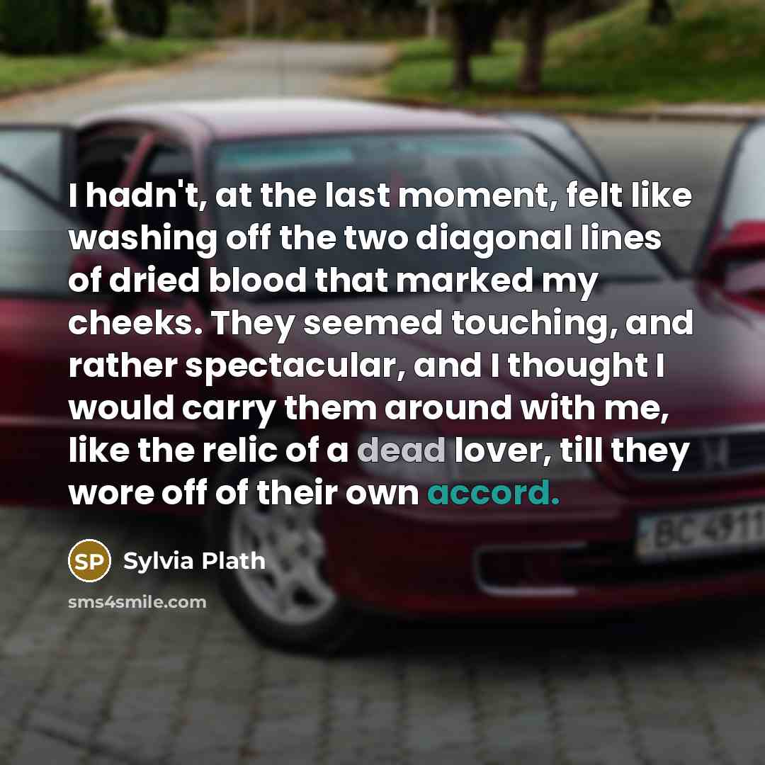 “I hadn't, at the last moment, felt like washing off…” quote by Sylvia Plath