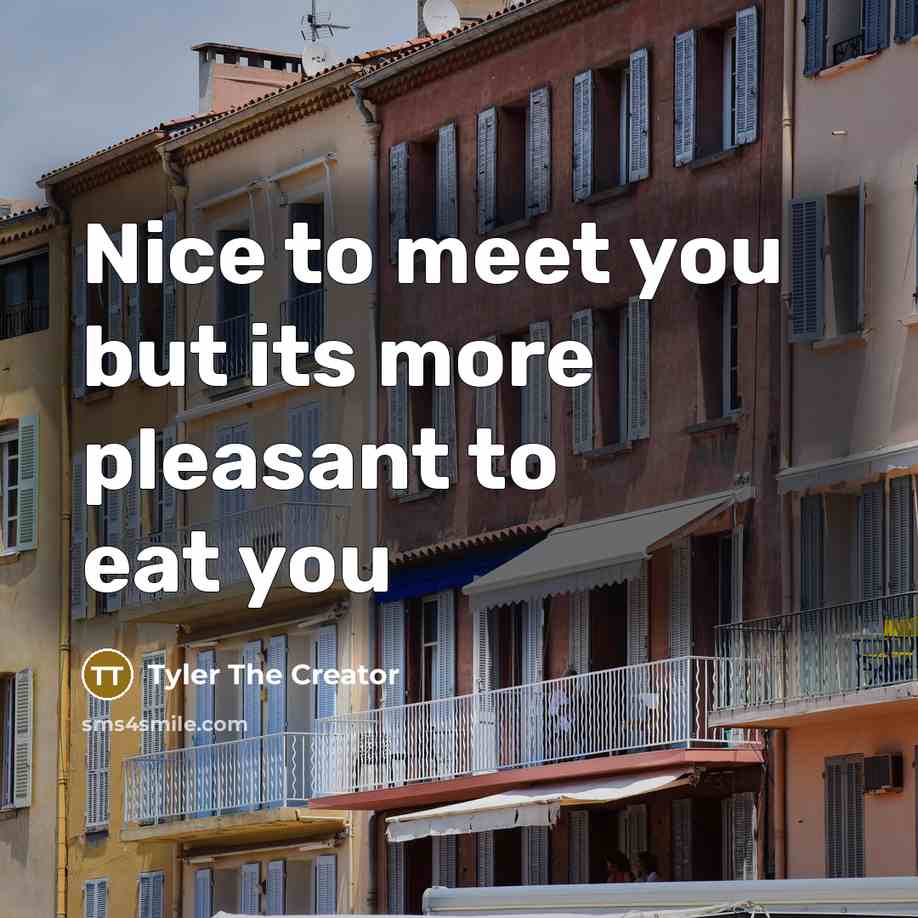 “Nice to meet you but its more pleasant to eat…” quote by Tyler The Creator