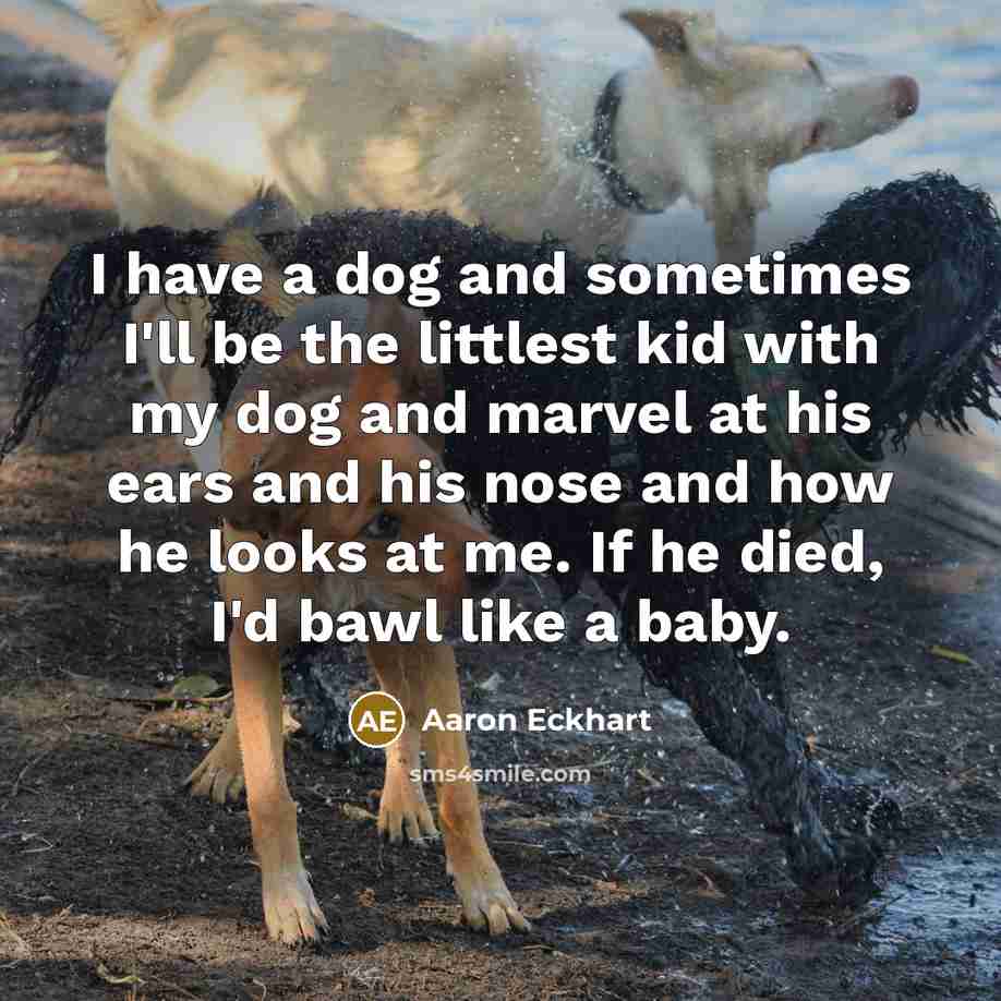 “I have a dog and sometimes I'll be the littlest…” quote by Aaron Eckhart