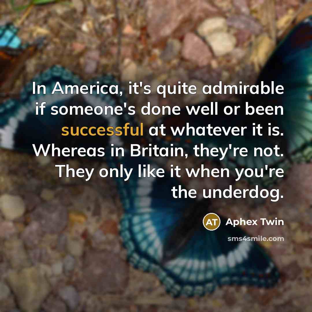 “In America, it's quite admirable if someone's done well or…” quote by Aphex Twin